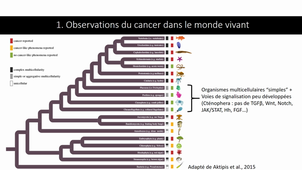 Organismes Cancer-free