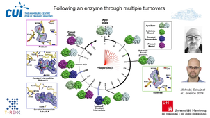 Imaging Proteins in Action:  Structural Enzymology at XFELs and Synchrotrons