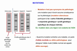 1. Les maladies génétiques-ORTHOPTIE