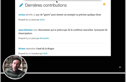 Variation et stratégies de traduction