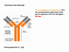 N°7 Microscopie et Régulations Cellulaires Cours Schmit