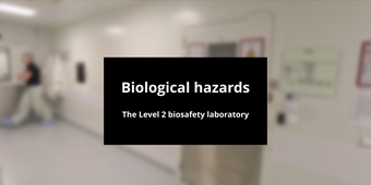 Biological hazards – Working in a Biosafety Level 2 laboratory - 2D version with English subtitles