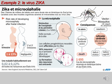 L1S1_defis de la biologie_LELIEVRE_episode 2 