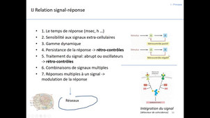 communication cellulaire 1