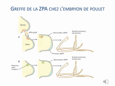 TD_app-locomoteur Dr TELETIN