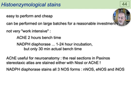 06 - Classical Staining Techniques - AChE & NADPH.mp4