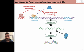 UE Notions de Biologie - Module 13_Régulation de l'expression des gènes