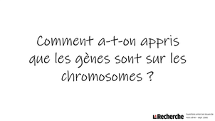 Comment a-t-on appris que les gènes sont sur les chromosomes ?