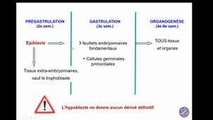 PRe_Gastrulation 2024