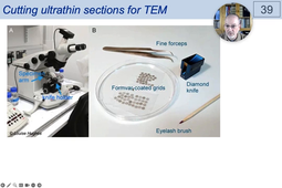 04 - Electron Microscopy - Ultramicrotomy.mp4