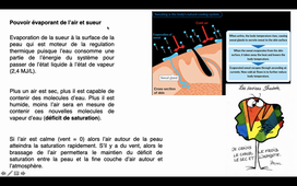 Stress thermique 1