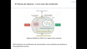Communication cellulaire 1