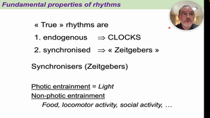 01 - Fundamental Properties of Biological Rhythms