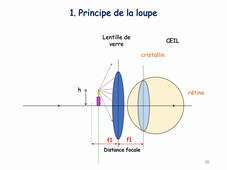 Microscopie et Régulations Cellulaires Cours N°1 Schmit