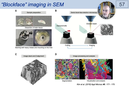 07 - Electron Microscopy - Preparing Samples for SEM.mp4