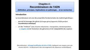 Réparation