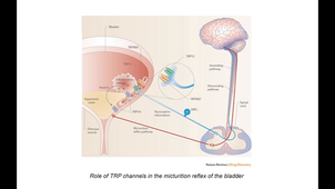Neurosciences