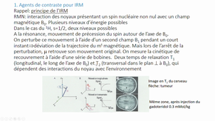 Nanoparticules en médecine-enregistrement 11