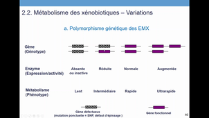 TCM_2_Transport et métabolisme des xénobiotiques (3).mkv