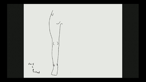 jambe / vascularisation MI / innervation MI