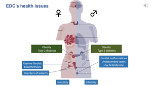 EDC1_Definition ECD_2 fevrier 2025.mp4