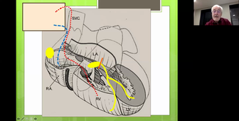 8 PM & DAI bis 110321
