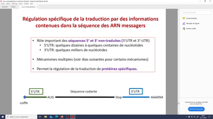 cours code génétique et traduction partie 2