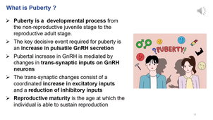 HPG axis 2b_NeuroEndocrinology HPG axis_Development & Puberty_enregistré slides 14-49.mp4