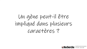 Un gène peut-il être impliqué dans plusieurs caractères ?