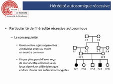 La génétique (2)